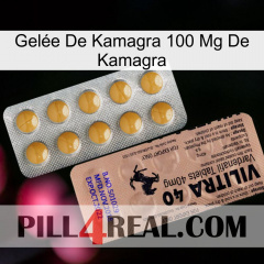 Gelée De Kamagra 100 Mg De Kamagra 41